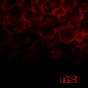 OSI — Blood